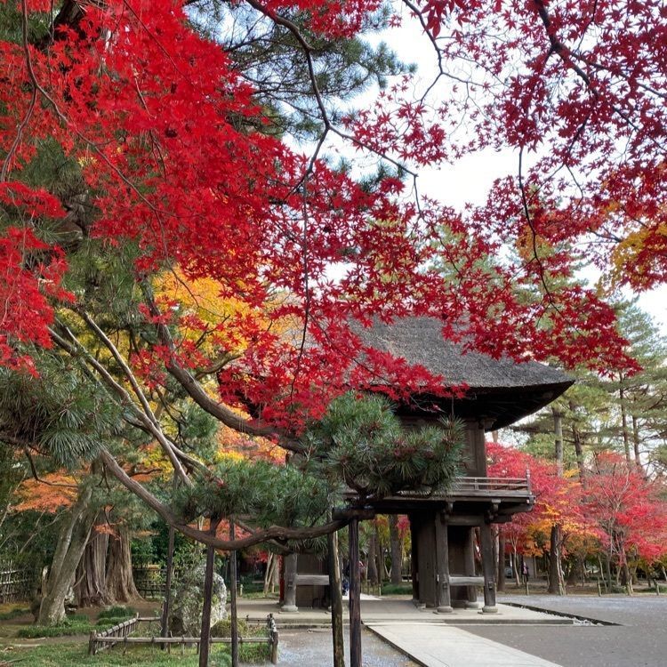 youandme110さんが投稿した平林寺に関する口コミの画像