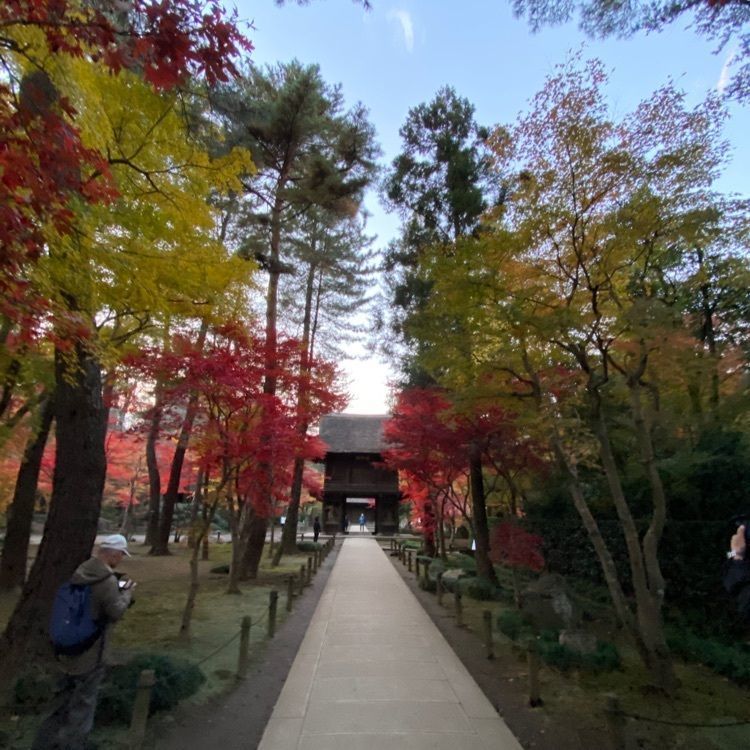 youandme110さんが投稿した平林寺に関する口コミの画像