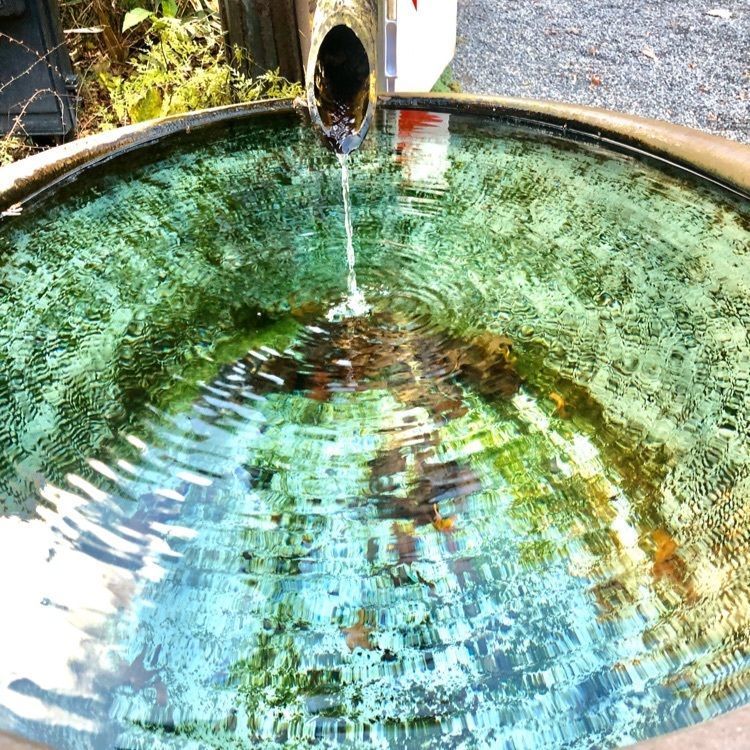 ヒロさんが投稿した水沢山に関する口コミの画像