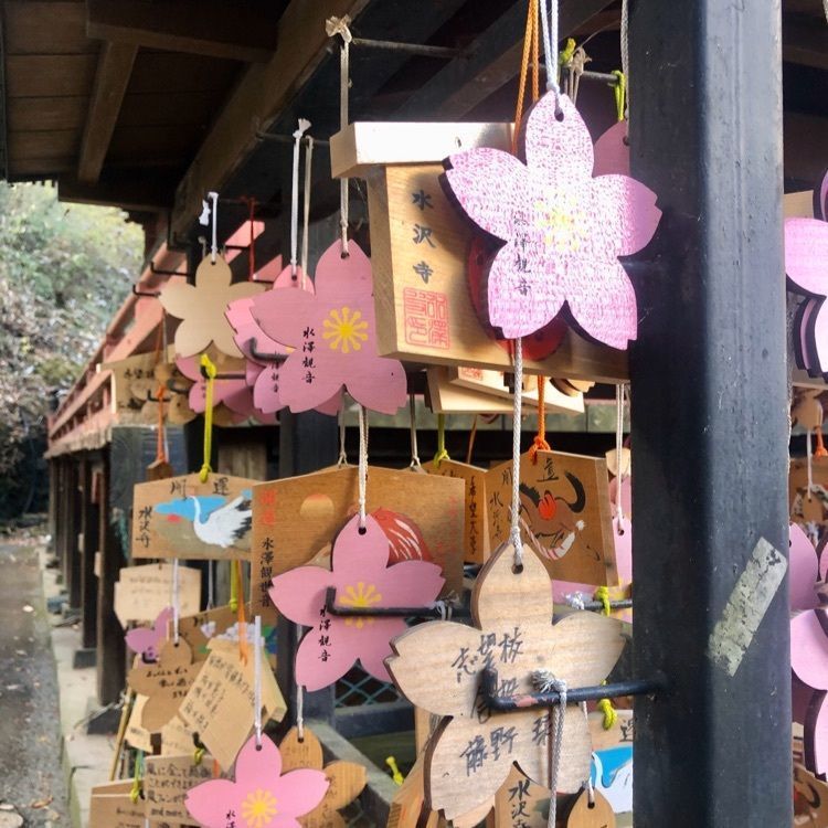 ヒロさんが投稿した水沢山に関する口コミの画像