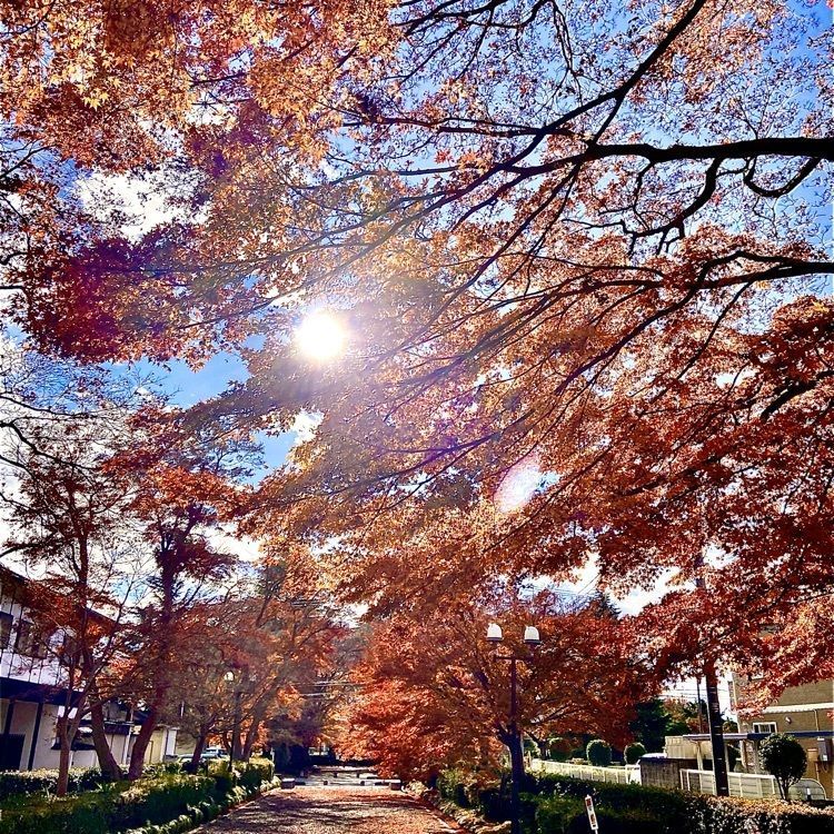 さんぴん茶さんが投稿した大山元帥の墓所に関する口コミの画像