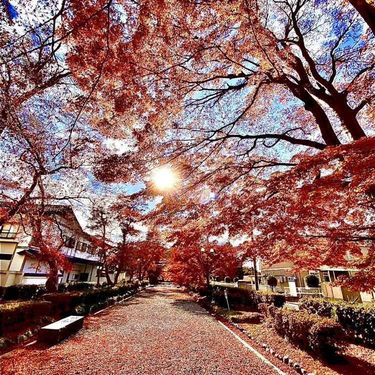 さんぴん茶さんが投稿した大山元帥の墓所に関する口コミの画像