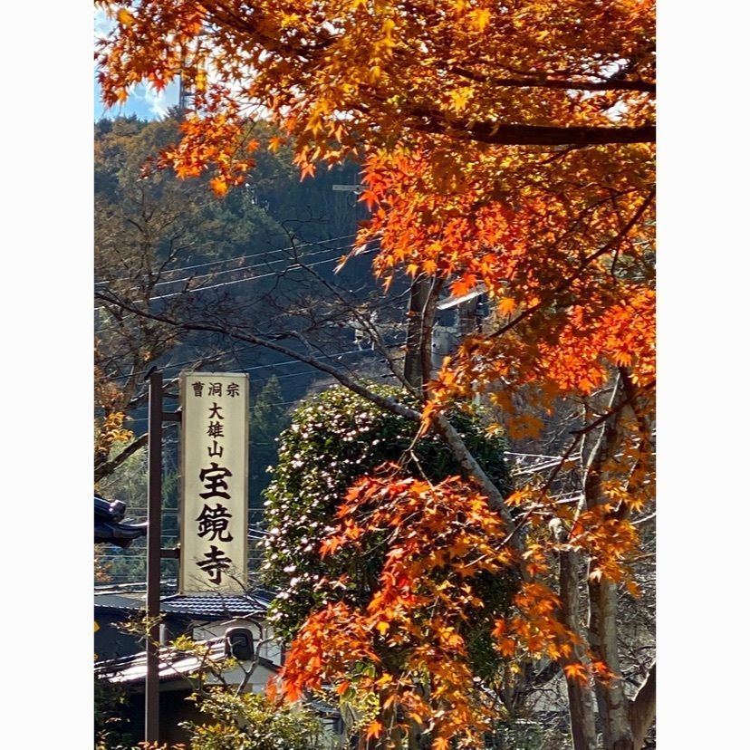 ビンカさんが投稿した大雄山宝鏡寺に関する口コミの画像