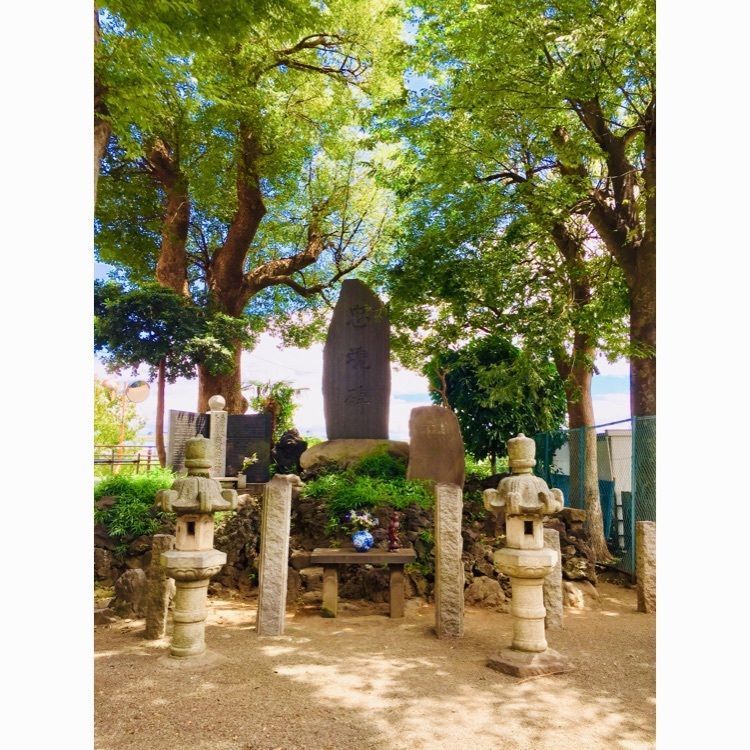 さーとし1018さんが投稿した海源寺に関する口コミの画像