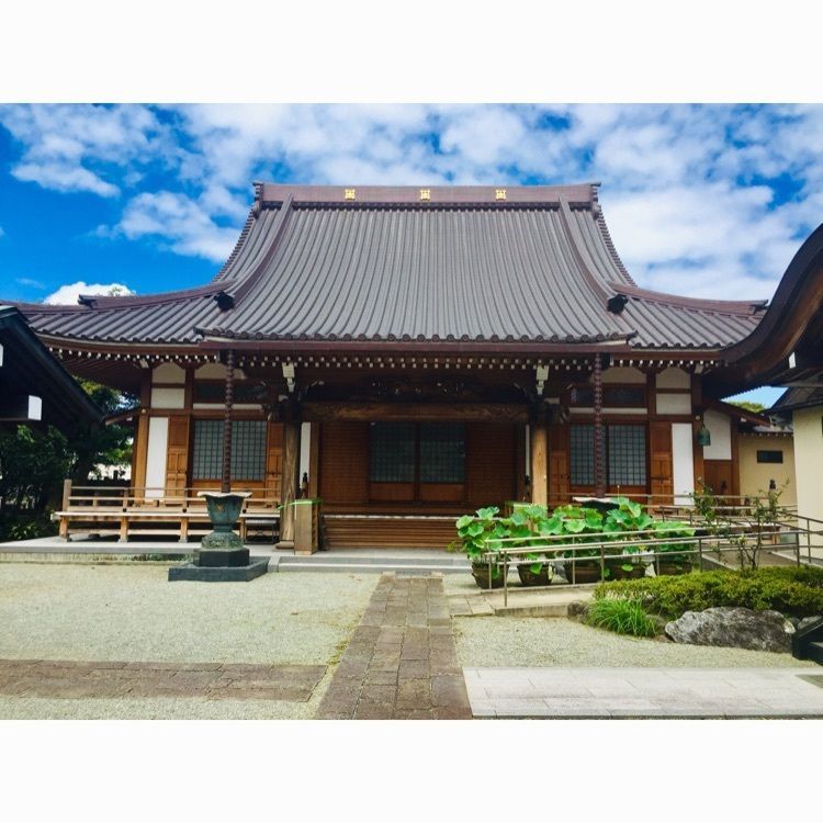 さーとし1018さんが投稿した海源寺に関する口コミの画像