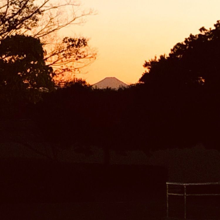 れいんぼうれいんぼうさんが投稿した画像の画像