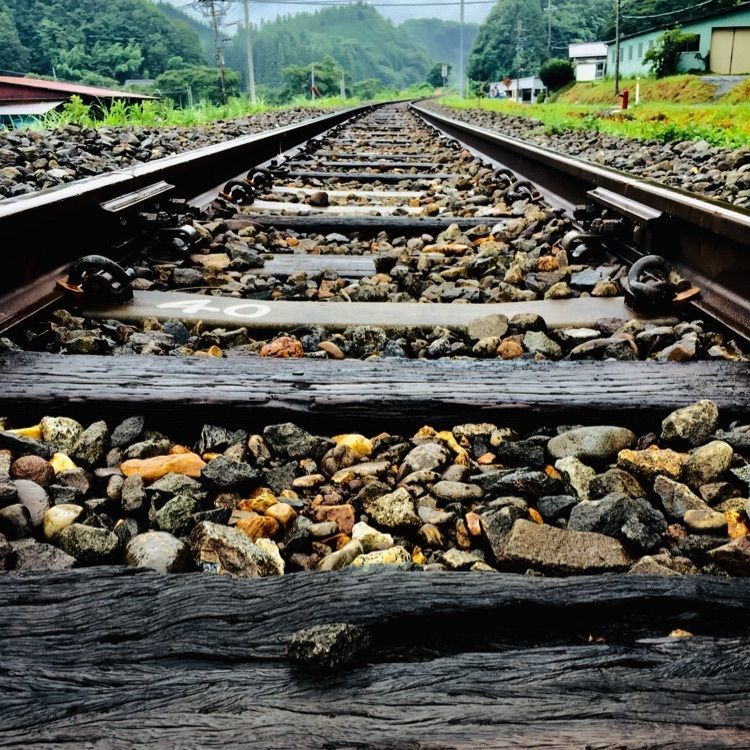 さーとし1018さんが投稿した夏井駅に関する口コミの画像