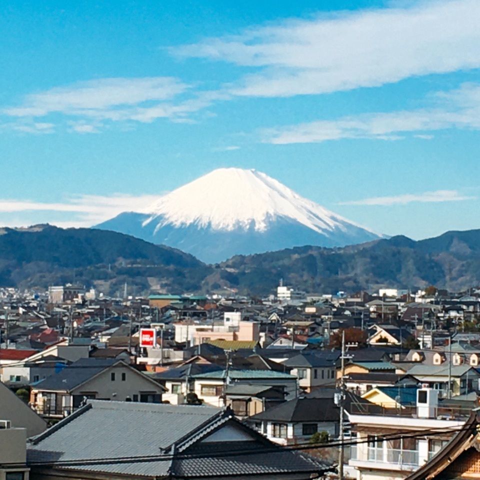 yoshiさんが投稿した画像の画像
