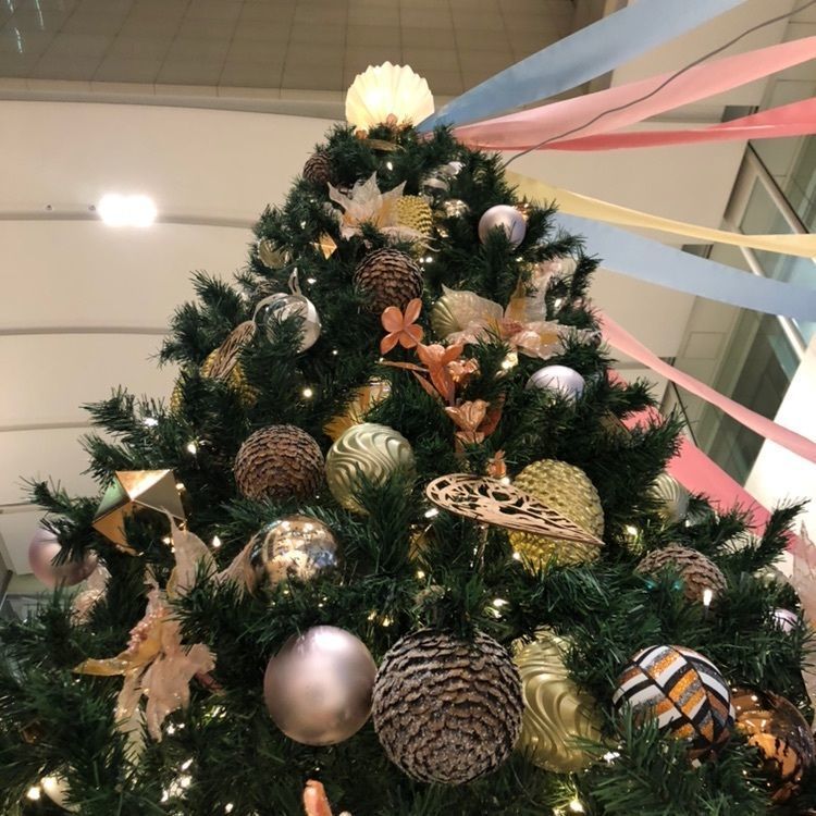 tomorrowさんが投稿したエクセルシオール カフェ 山王パークタワー店に関する口コミの画像