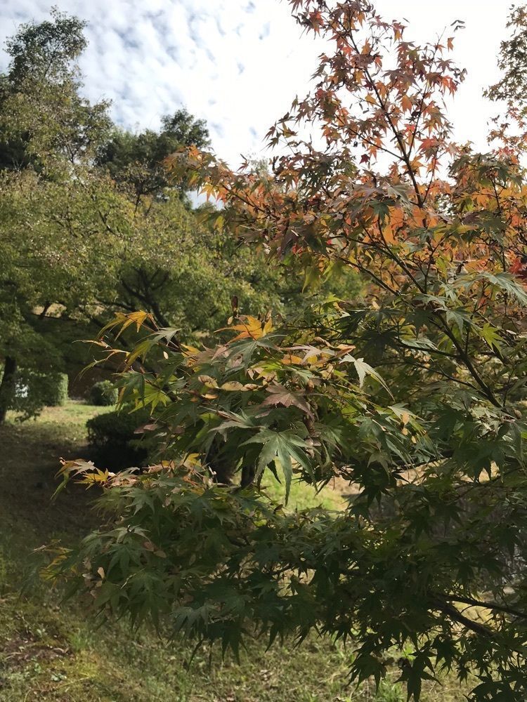 りょう.Ｋさんが投稿した多久聖廟に関する口コミの画像