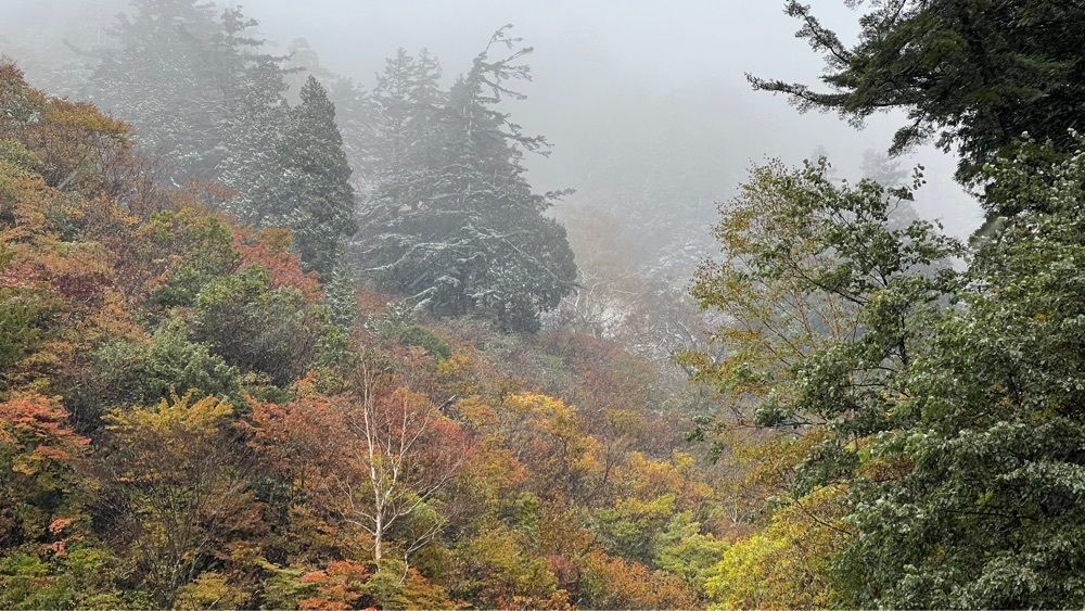 南風さんが投稿した三方岩岳に関する口コミの画像