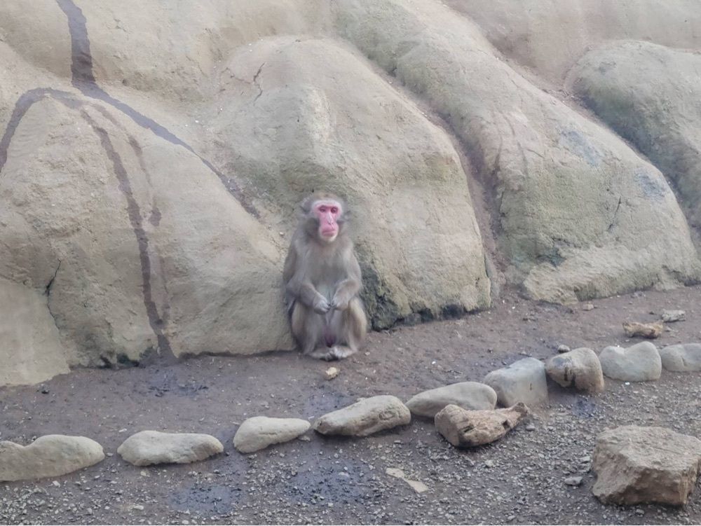 プーさんが投稿した高尾山 天狗屋（TENGUYA）に関する口コミの画像