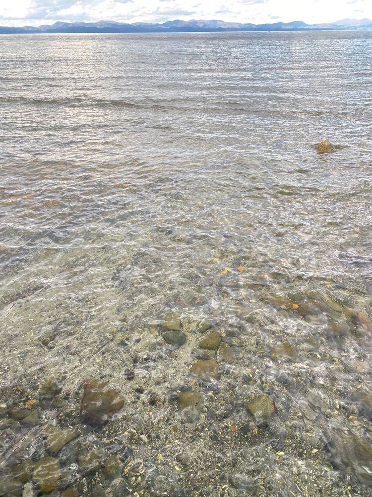 かめ_メグミさんが投稿した大島（青森県平内町）に関する口コミの画像