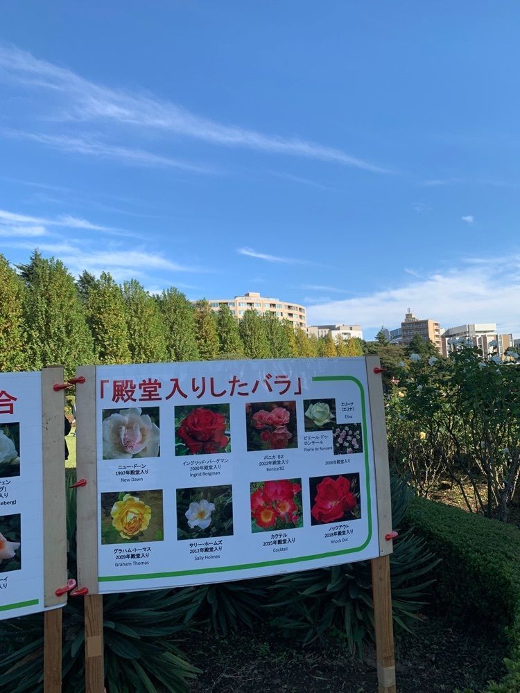yokomanさんが投稿した緑の豆 新宿御苑店（MIDORI NO MAME）に関する口コミの画像