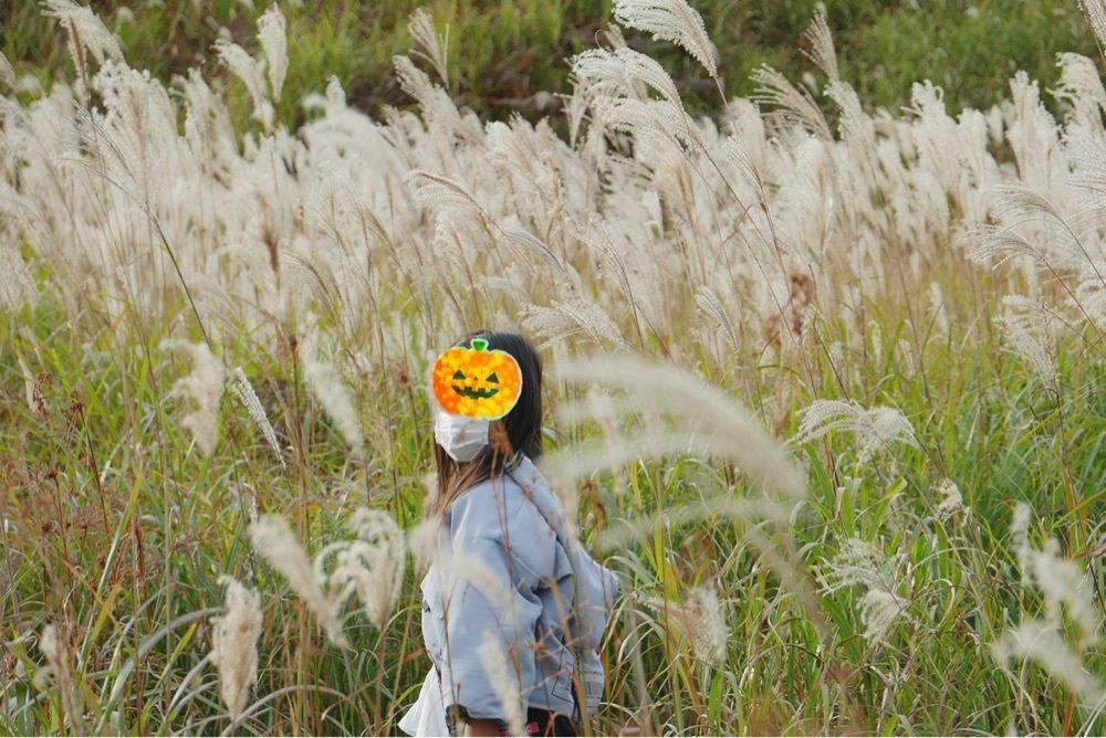 フラミンゴさんが投稿したとのみね自然交流館に関する口コミの画像