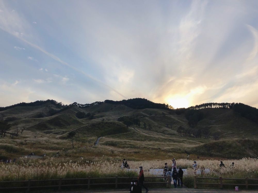 フラミンゴさんが投稿したとのみね自然交流館に関する口コミの画像