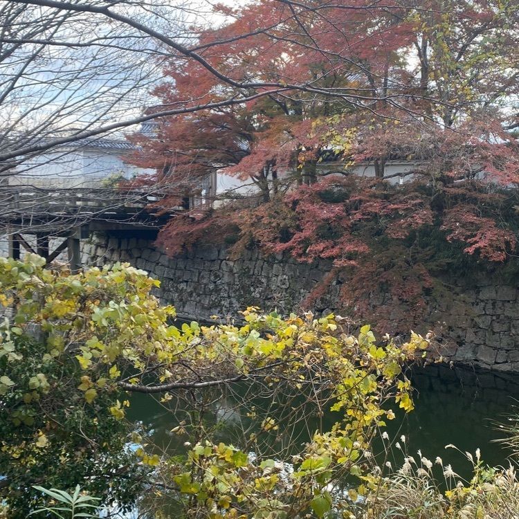 Hideさんが投稿した水口城跡に関する口コミの画像