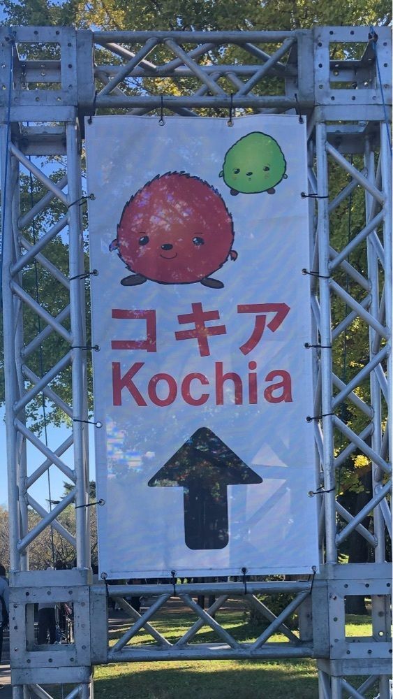 take.aさんが投稿した国営ひたち海浜公園に関する口コミの画像