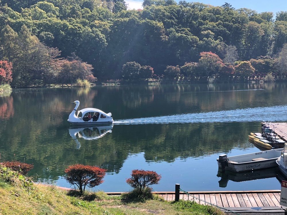 chama0430さんが投稿したそば処　やまなみに関する口コミの画像