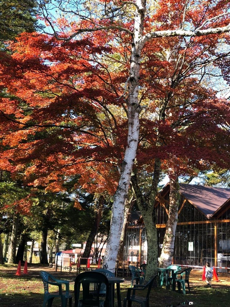 chama0430さんが投稿したそば処　やまなみに関する口コミの画像