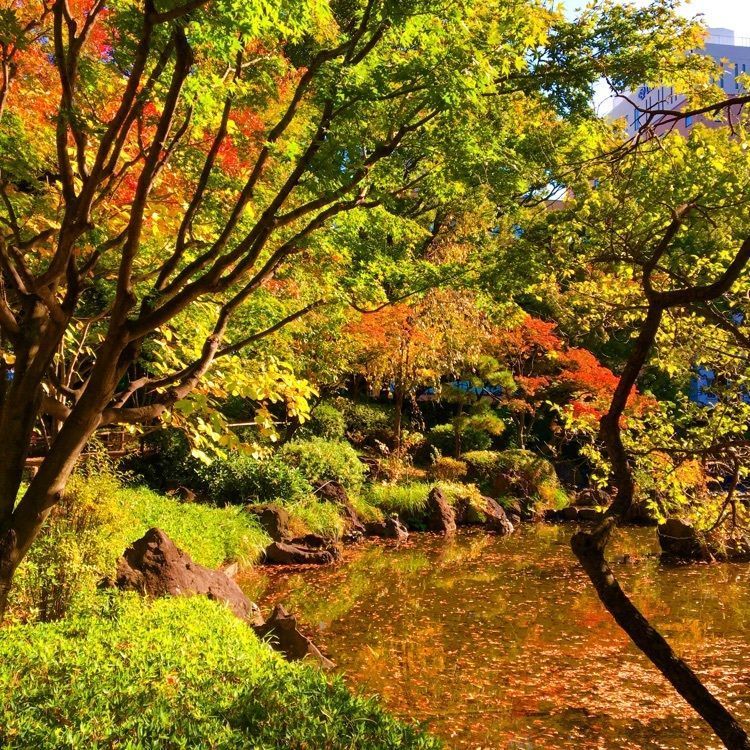 TeraKさんが投稿した横浜公園に関する口コミの画像