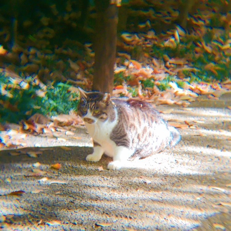 TeraKさんが投稿した横浜公園に関する口コミの画像