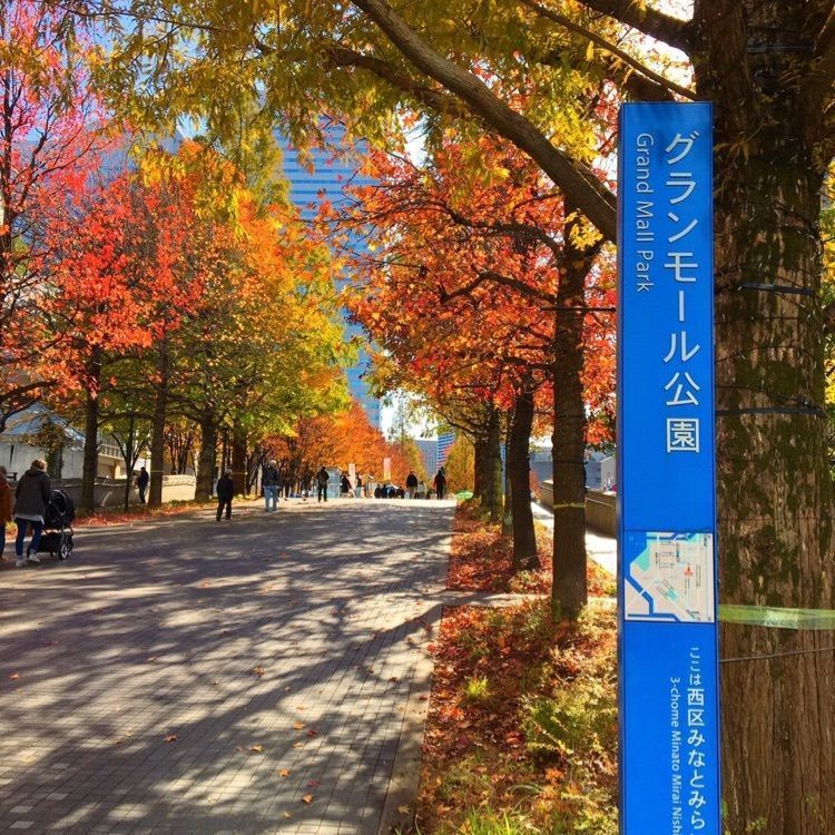 TeraKさんが投稿したグランモール公園に関する口コミの画像