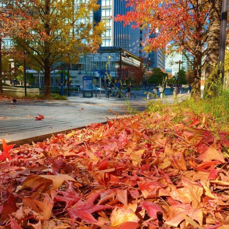 TeraKさんが投稿したグランモール公園に関する口コミの画像