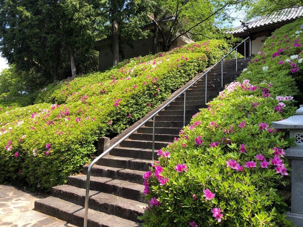 花＊花さんが投稿した林昌寺に関する口コミの画像