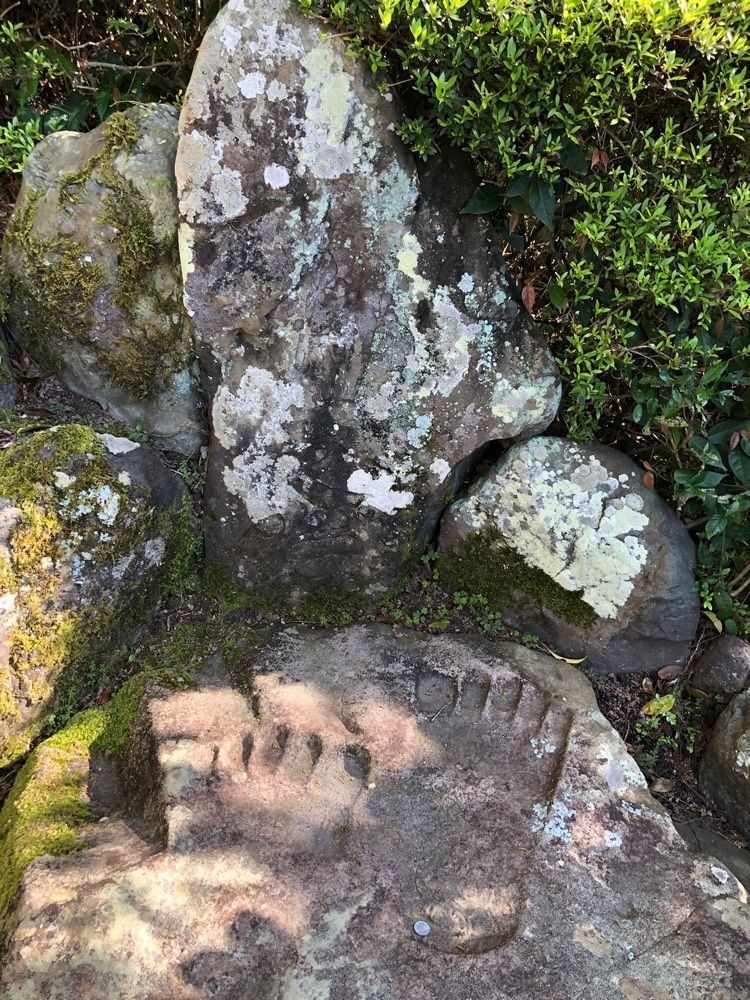 花＊花さんが投稿した林昌寺に関する口コミの画像