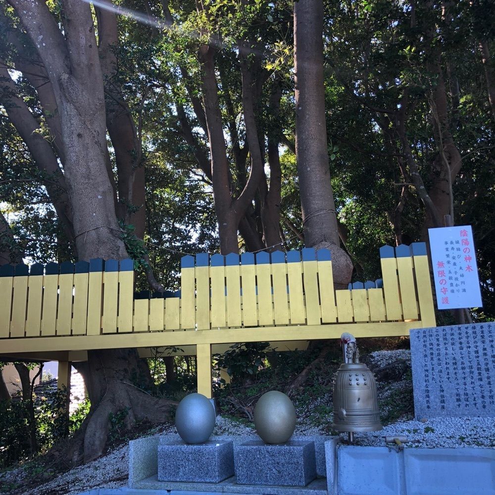 take.aさんが投稿した画像の画像