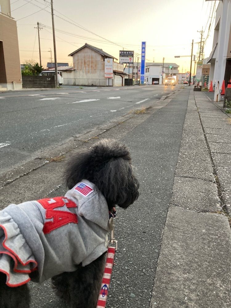 chiekoさんが投稿した眼鏡市場 浜松曳馬店に関する口コミの画像