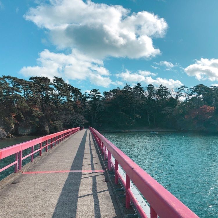 #山分け #宮城 #松島 #松島の観光スポット #松島の絶景 #松島の紅葉
