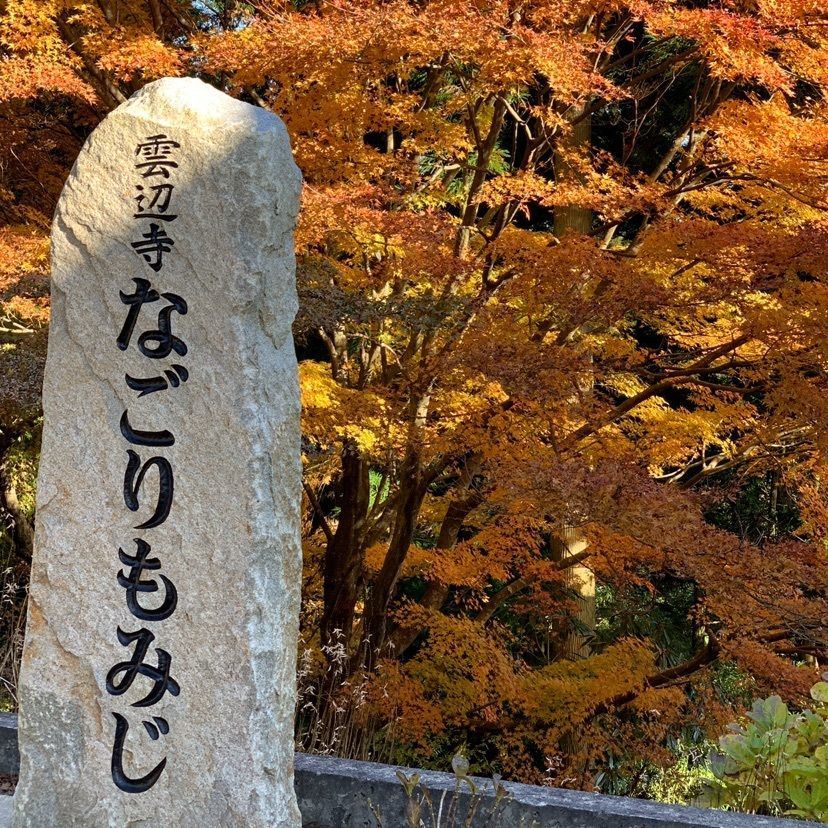 ちゃいさんが投稿した雲辺寺ヶ原史跡広場に関する口コミの画像