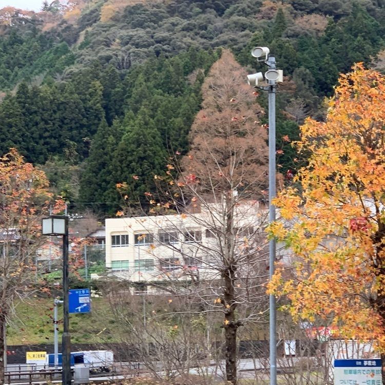 Fumieさんが投稿した日吉夢産地に関する口コミの画像