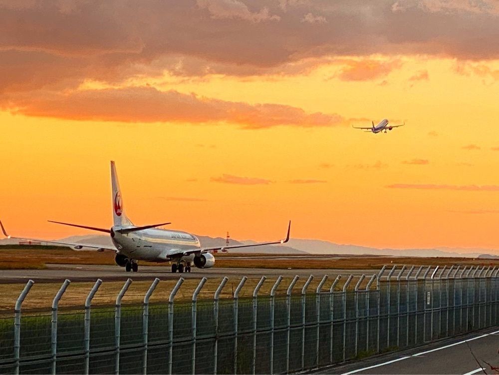 MinionPapaさんが投稿した松山空港総合案内所に関する口コミの画像