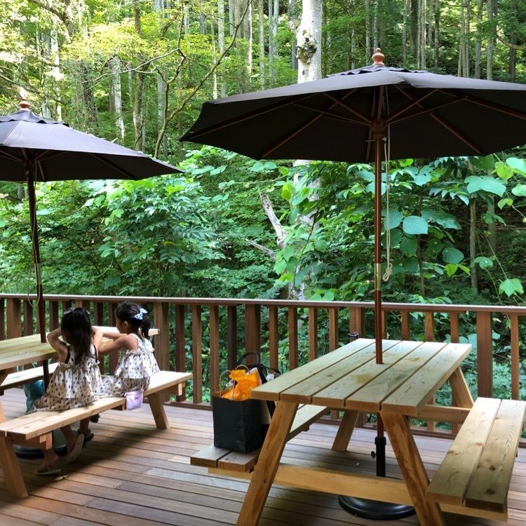 aikoさんが投稿した山ごはんカフェ ヒノハラテラスに関する口コミの画像