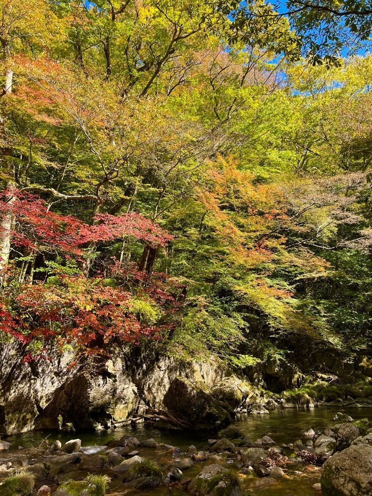 96_take4さんが投稿した小田深山荘に関する口コミの画像
