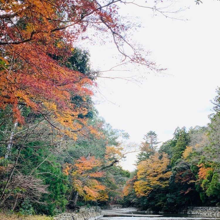 だるま大使さんが投稿した五十鈴公園に関する口コミの画像
