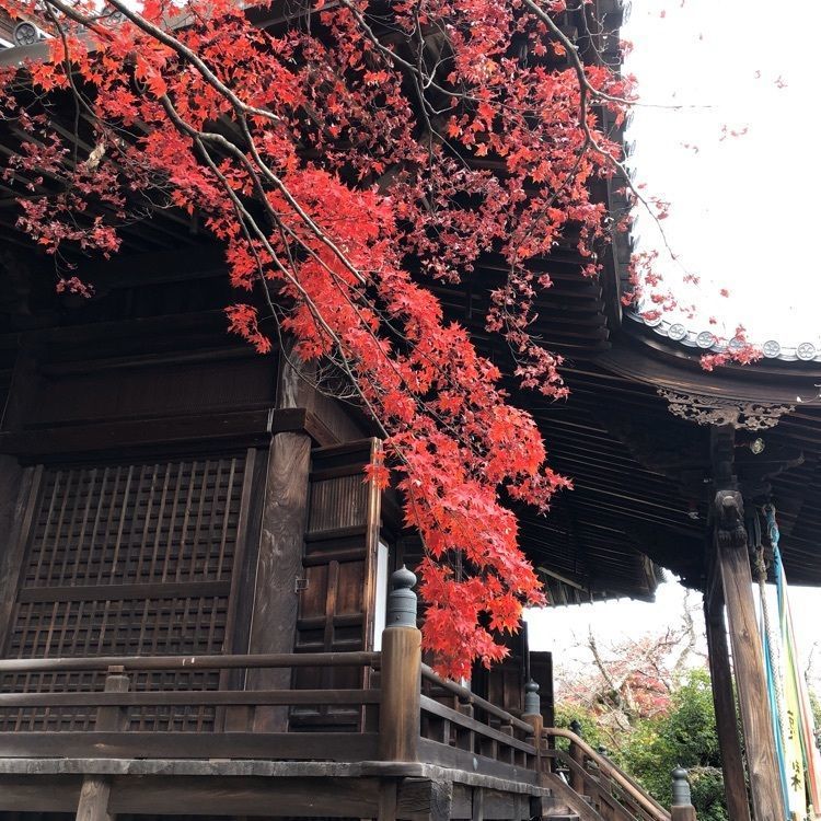 前サルさんが投稿した画像の画像