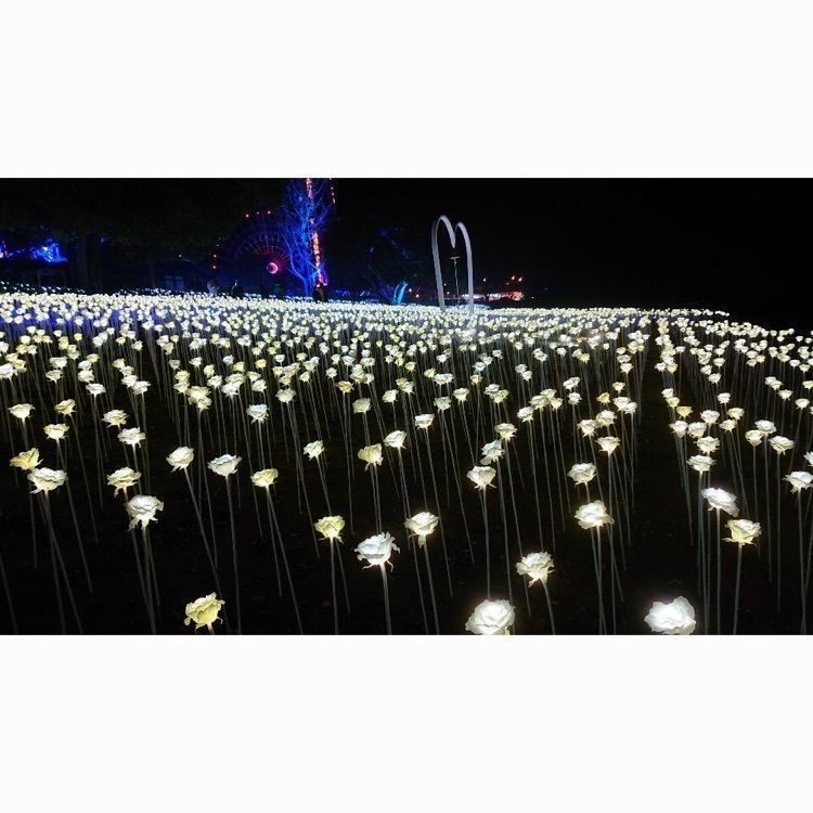mimiさんが投稿したみろくの里に関する口コミの画像