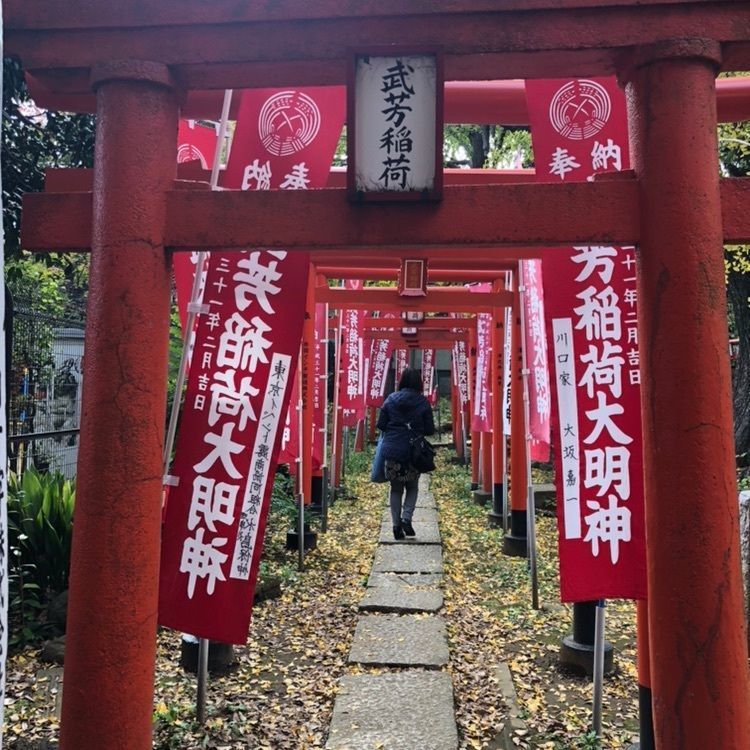 Akemiさんが投稿した雑司が谷鬼子母神のイチョウに関する口コミの画像