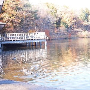 井頭公園