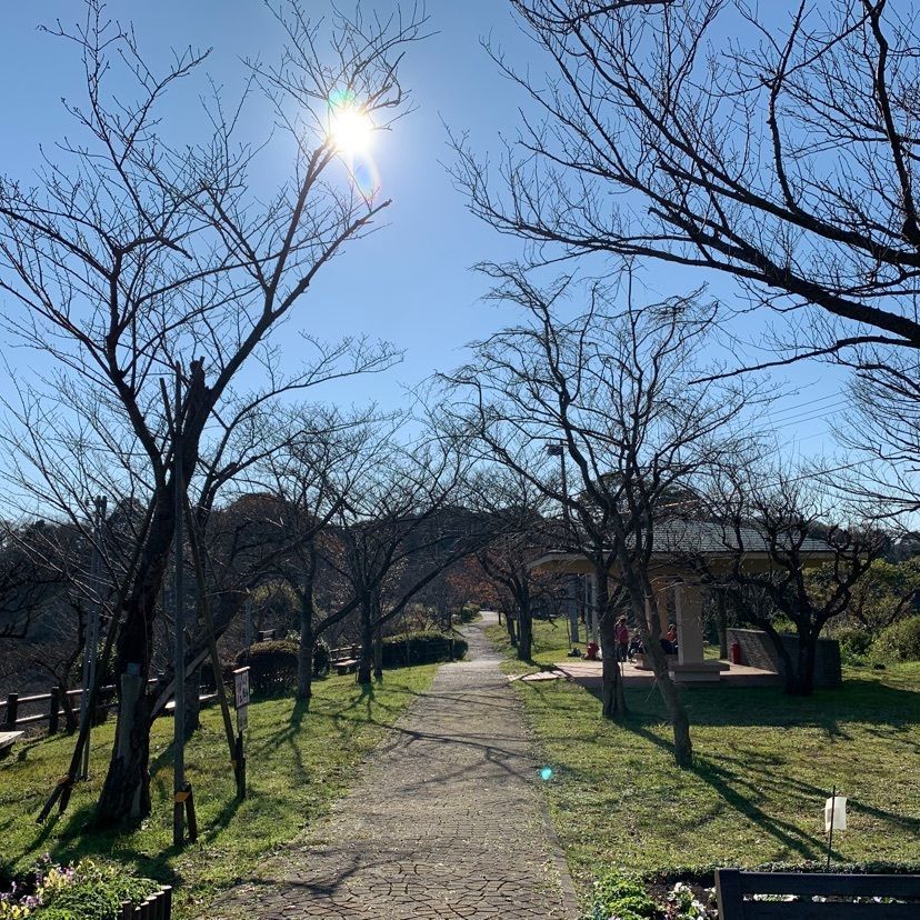 sonon_0430さんが投稿した県立塚山公園に関する口コミの画像