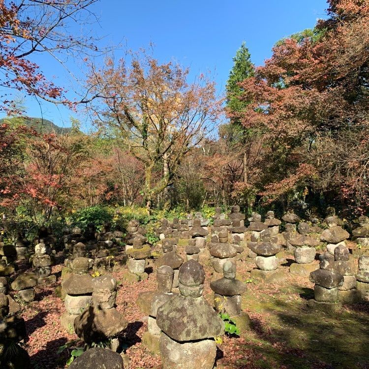 formal_cafeteria_8688さんが投稿した道隆寺跡に関する口コミの画像