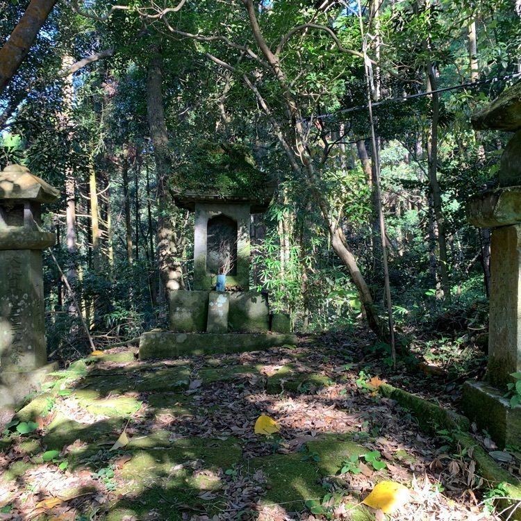 formal_cafeteria_8688さんが投稿した高山城跡に関する口コミの画像