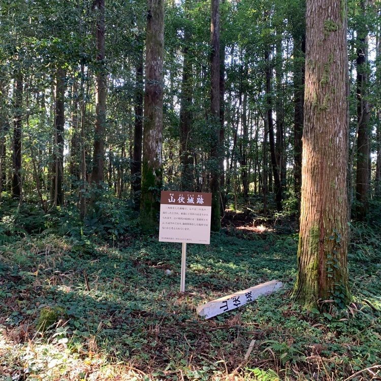 formal_cafeteria_8688さんが投稿した高山城跡に関する口コミの画像