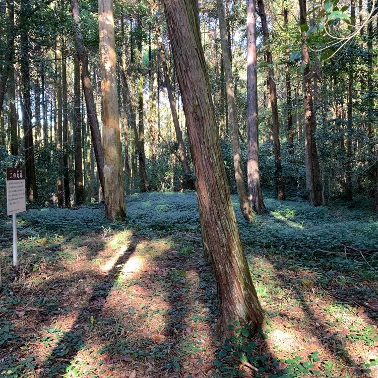 formal_cafeteria_8688さんが投稿した高山城跡に関する口コミの画像