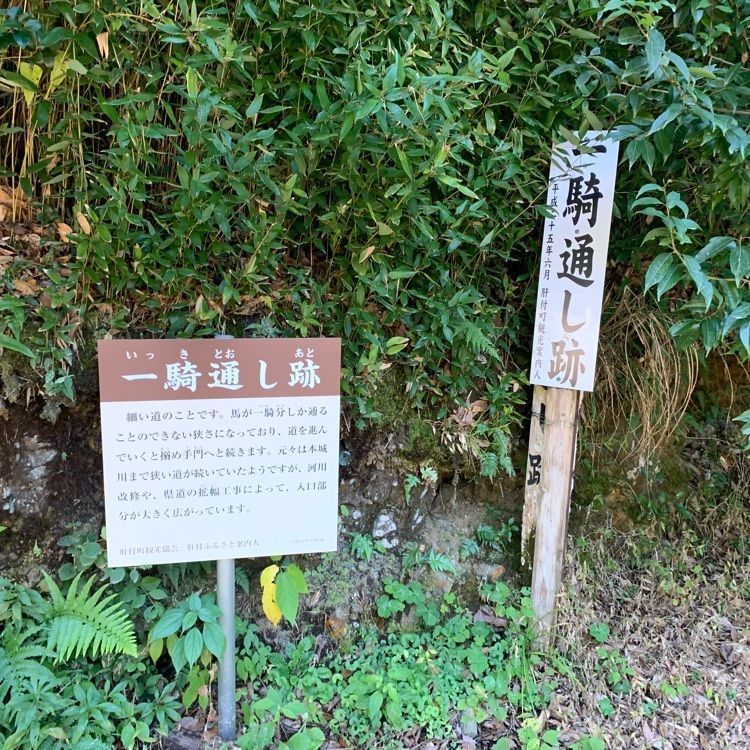 formal_cafeteria_8688さんが投稿した高山城跡に関する口コミの画像