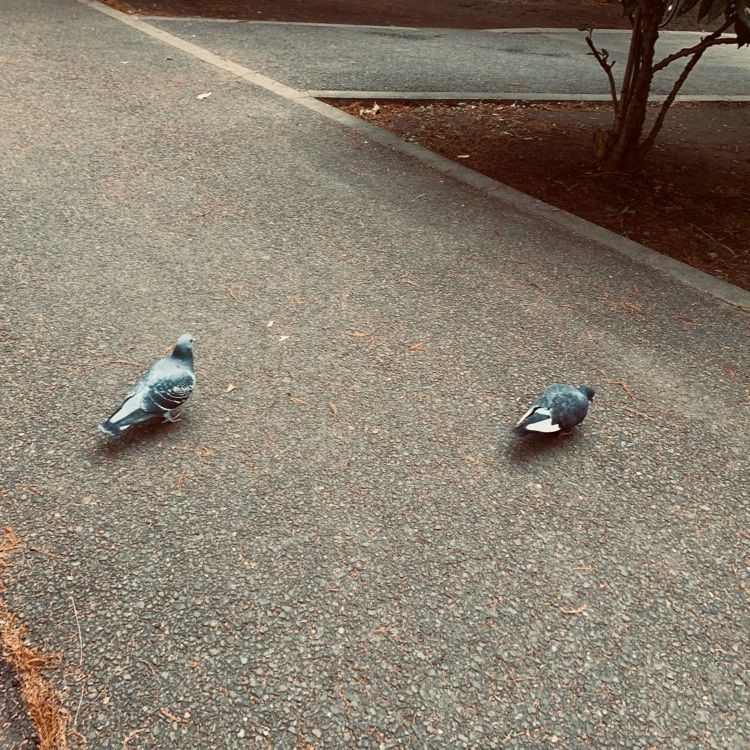 morogareさんが投稿した別所沼公園に関する口コミの画像